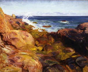 Gully à marée basse