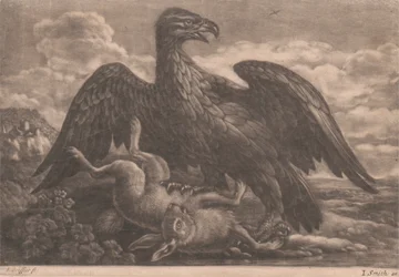 Aigle et lièvre