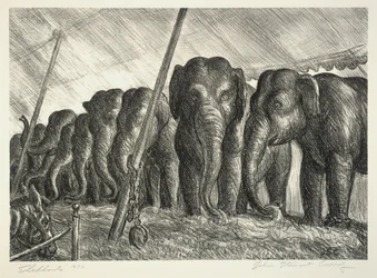 Cirque des éléphants