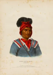Foke-luste-ajo, un Seminole