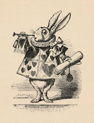 Un lapin en tant qu