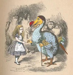 Alice et le Dodo, 1889