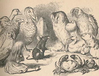 Illustration pour le chapitre « Une course au Caucus et une longue histoire ». Alice et diverses créatures, telles que