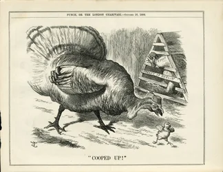 Illustration de John Tenniel (1820-1914) dans Punch
