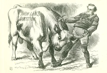 Prendre le taureau (irlandais) par les cornes: Projet de loi adopté par le Parlement le 15 février 1870 et ayant reçu la sanction royale le 8 juillet. William Gladstone, Premier ministre, traitant la question. Caricature de John Tenniel dans Punch, Londres