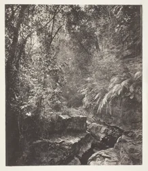 Un col de montagne à Formose