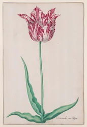 Étude d