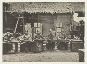 Cueillette de thé à Canton, vers 1868