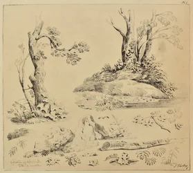 Feuille d