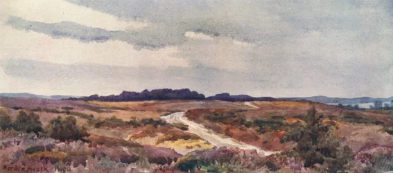 Norden Heath (lithographie couleur)