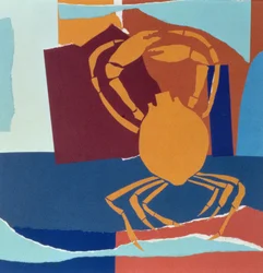 Crabe araignée