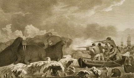 Chevaux de mer, figures par J. Heath, gravé par E. Scott, planche 52 de 