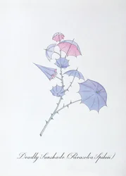 Deadly Sunshade (Parasolia Spikeii.), illustration de 