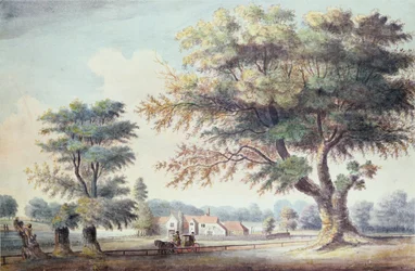 La vieille maison Cheesecake, au nord de la Serpentine, 1786