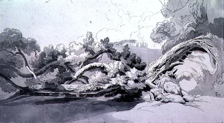 Paysage avec arbre déraciné
