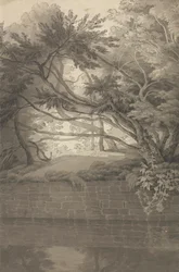 Arbres surplombant un lac