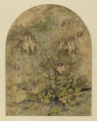 Fleurs sauvages