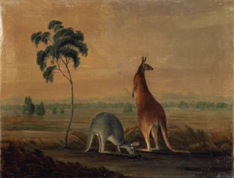 Kangourous dans un paysage, vers 1819