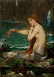 Une sirène
