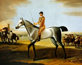 Le célèbre cheval de course gris du duc de Rutland, Coneyskins, avec jockey sur Newmarket Heath