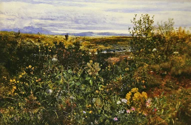 Paysage étendu avec des fleurs sauvages