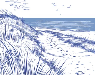 Sentier des dunes côtières