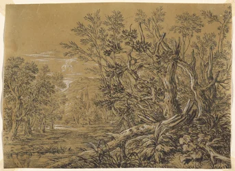 Ruisseau à travers une forêt ancienne