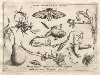 Archétypes et Études : La mort est la ligne qui marque la fin de tout (Partie II, planche 5)