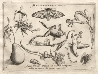 Archétypes et études : La mort est la ligne qui marque la fin de tout Partie II, planche 5, 1592