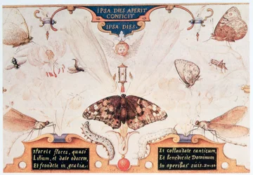 Diptyque avec fleurs et insectes