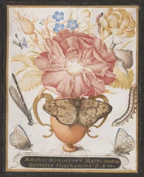 Nature morte avec des fleurs, un escargot et des insectes, 1589