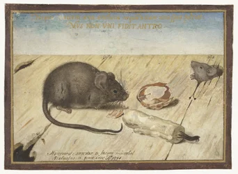 Deux souris