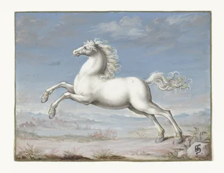 Cheval blanc