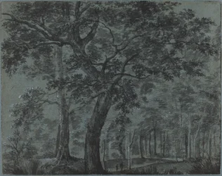 Bois la nuit avec des voyageurs