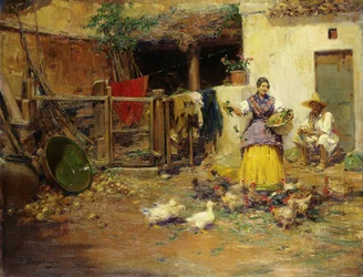 Nourrir les poules