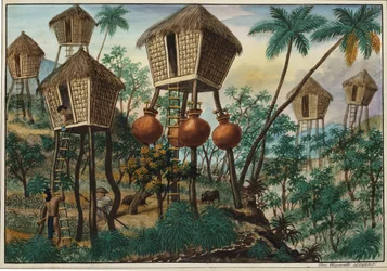 Manille et ses environs : Huttes des Indiens de la montagne