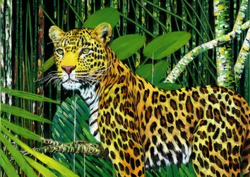 Animaux : Léopard 1
