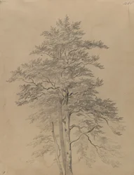 Étude d