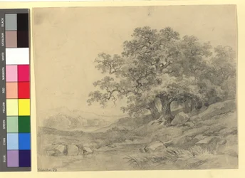 Étude de paysage