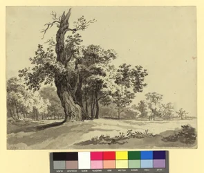 Paysage du Prater
