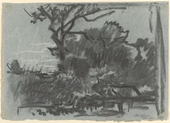 Scène de forêt