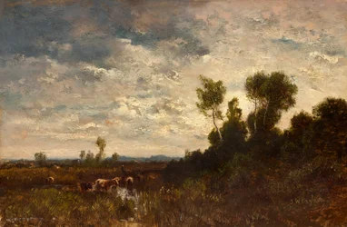 Paysage de lande