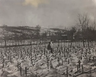 Album "Meine weltkriegs - Erinnerungen Front Sud-Ouest (Carinthie, Italie, Tyrol du Sud) 31/03/1915-12/11/1918 - Josef Zohles Wien": cimetière militaire