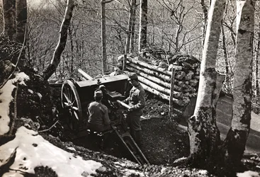 Album "Meine weltkriegs - Erinnerungen South-West Front (Carinthie, Italie, Tyrol du Sud) 31/03/1915-12/11/1918 - Josef Zohles Wien": soldats avec canon