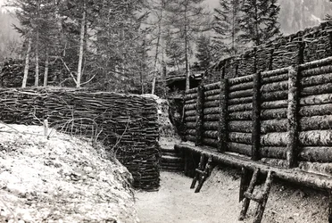 Barrière en rondins de bois