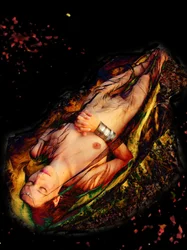 Reine morte