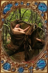 Vénus en bois