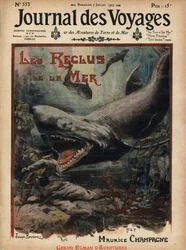Un requin attaque un plongeur