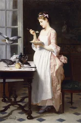Nourrir les pigeons