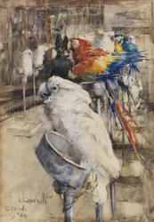 La Volière, Clifton